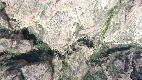 Nature veins Video stock 157520869