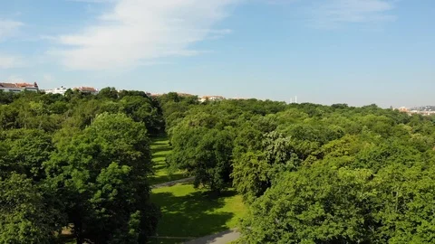 Nature video. Drone flight Vídeos de archivo 110805429