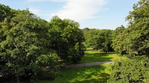 Nature video. Drone flight Vídeos de archivo 110805599