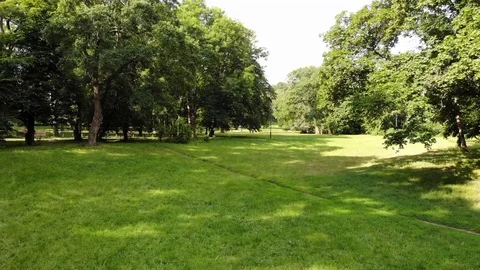 Nature video. Drone flight Vídeos de archivo 110805648