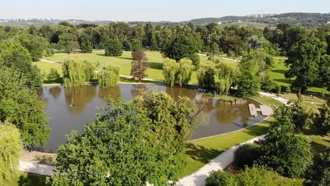 Nature video. Drone flight Vídeos de archivo 110806023