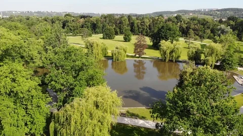 Nature video. Drone flight Vídeos de archivo 110806381