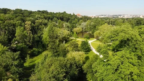 Nature video. Drone flight Vídeos de archivo 110806407