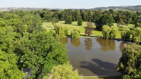 Nature video. Drone flight Vídeos de archivo 110806429