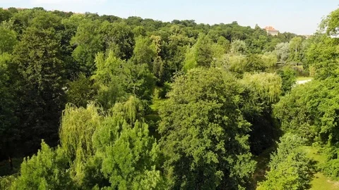 Nature video. Drone flight Vídeos de archivo 110807276