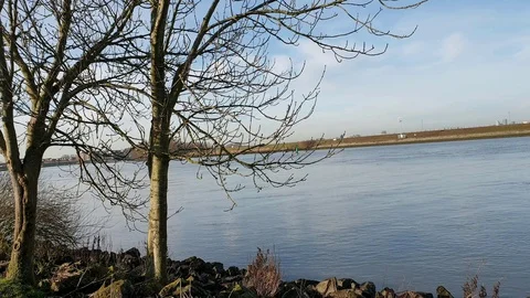 Nature video Stock Footage 123778853