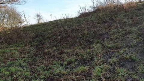 Nature video Stock Footage 123779011