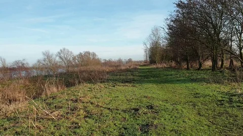 Nature video Stock Footage 123779078