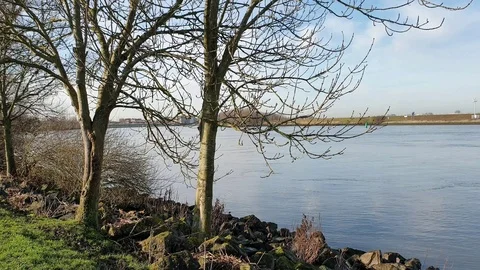 Nature video Stock Footage 123779156