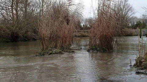 Nature video Stock Footage 123779621