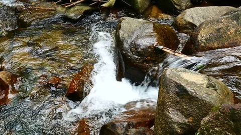 Nature video,A small waterfall in the forest. The water flow through the rock Stock Footage 79867005