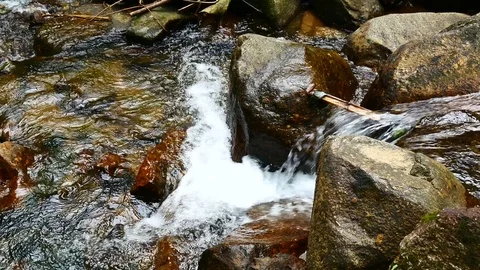 Nature video,A small waterfall in the forest. The water flow through the rock Vídeos de archivo 79867043