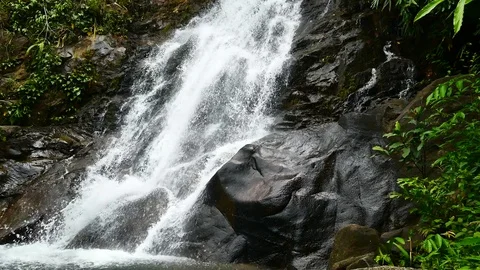 Nature video,A small waterfall in the forest. The water flow through the rock 動画素材 79867131