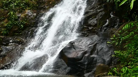 Nature video,A small waterfall in the forest. The water flow through the rock Vídeos de archivo 79867140