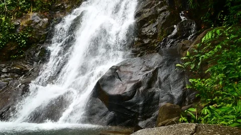 Nature video,A small waterfall in the forest. The water flow through the rock 動画素材 79867153