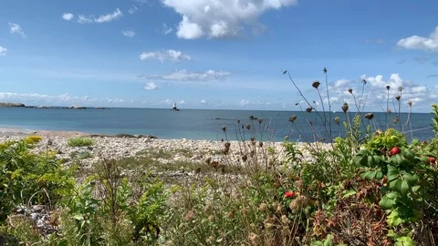 Nature view with Beach Ocean in background - Rhode Island Stock Footage 115919866