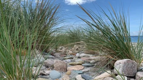 Nature view with Beach Ocean in background - Rhode Island Video stock 115919874
