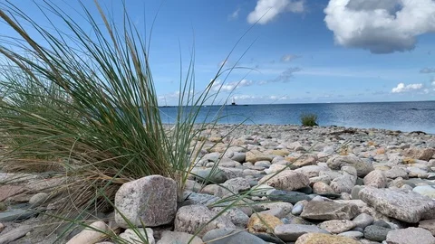 Nature view with Beach Ocean in background - Rhode Island Video stock 115919894