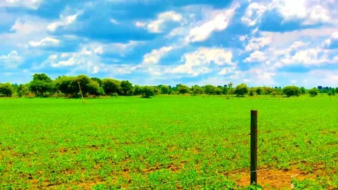 Nature view beautiful Stock Footage 169365667