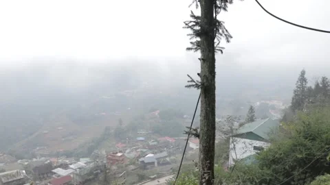 Nature View 스톡 동영상 154231695