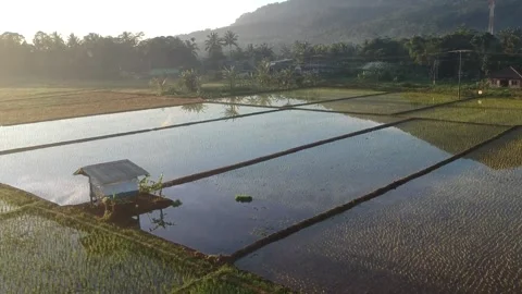 Nature view Video stock 167742043