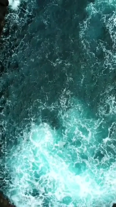 Nature View Stock Footage 170920889