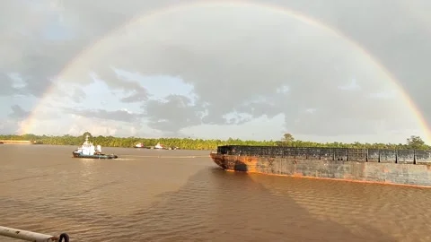 Nature view Video stock 182365378