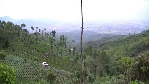 NATURE VIEW Video stock 183627229