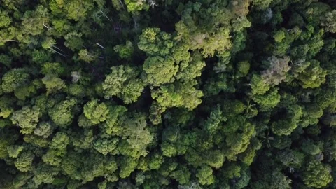 Nature view Video stock 200909239