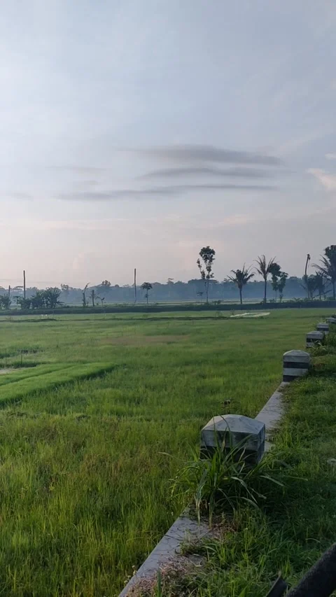 Nature view 스톡 동영상 201065582