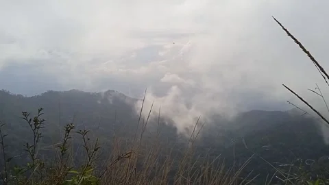 Nature View 動画素材 205943652