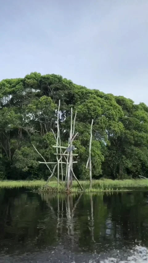 Nature View Stock Footage 210022241