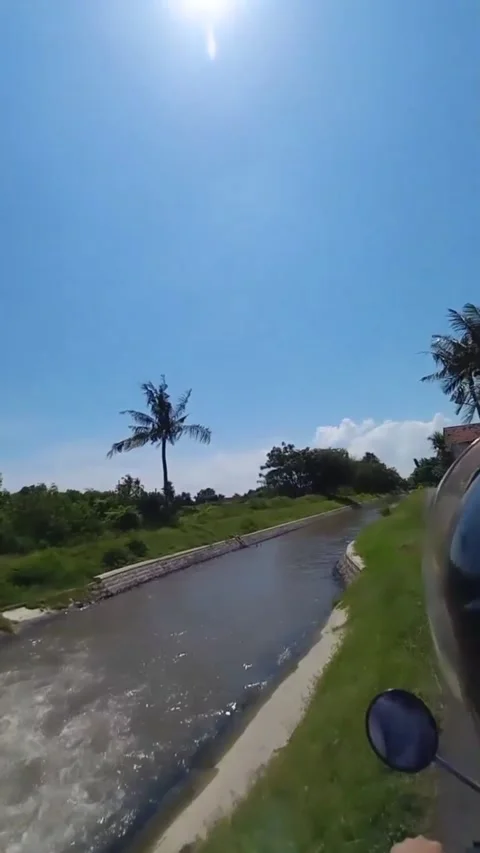 Nature view 스톡 동영상 210182302