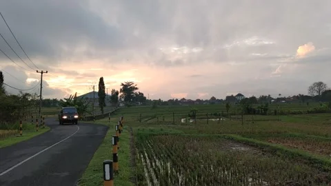 Nature view 库存影片 216199858