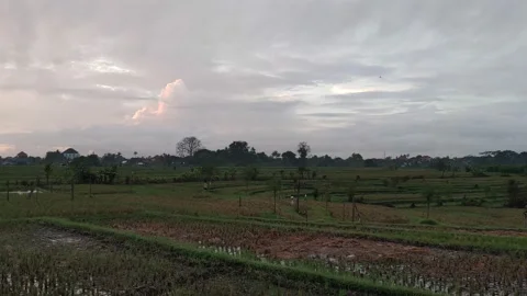 Nature view 库存影片 216201801