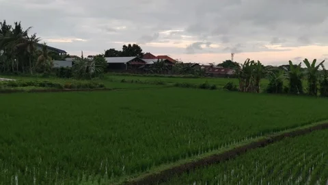 Nature view 库存影片 219287971