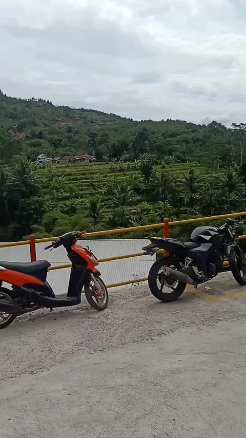 Nature View Stock Footage 219918680