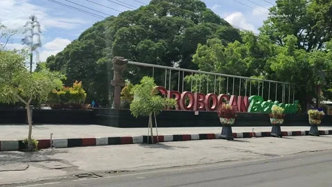 Nature view Video stock 220425230