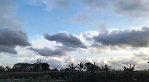 Nature view Video stock 221814362