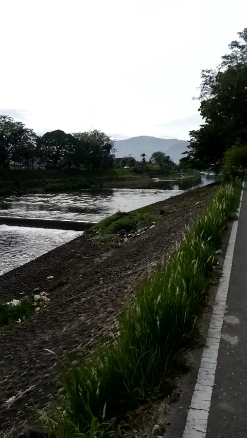 Nature View Stock Footage 222024029