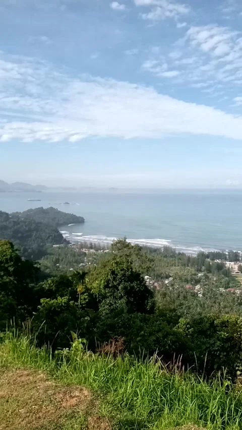 Nature View Stock Footage 222024267