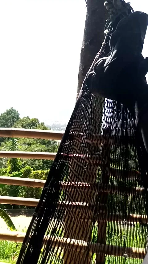 Nature View Video stock 222024339