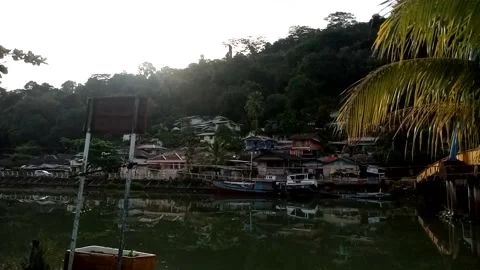 Nature View Video stock 223281460