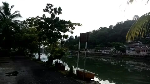 Nature View Stock Footage 223281553