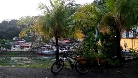 Nature View Video stock 223281678