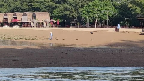 Nature view 库存影片 224389971