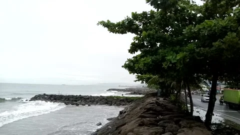 Nature View Stock Footage 224481389