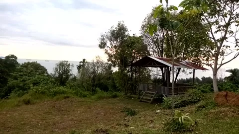 Nature View Video stock 226259575