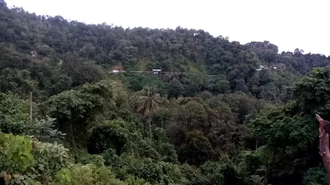 Nature View Stock Footage 226259716