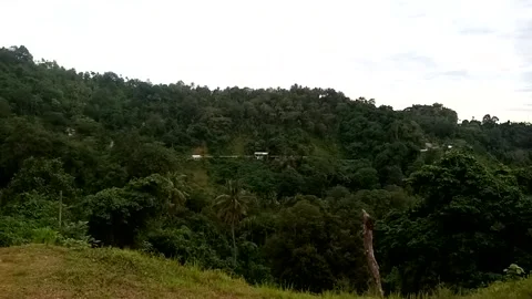 Nature View Stock Footage 226259975